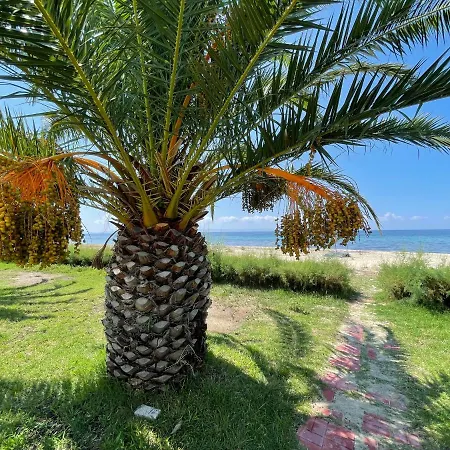 Ferienhaus 5-guest In Halkidiki *