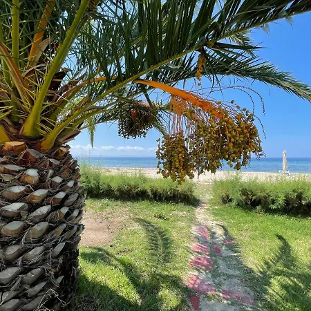 5-guest In Halkidiki Case de vacanță Metokhion Konstamonitou